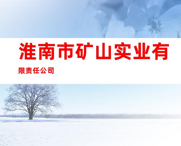 淮南市矿山实业有限责任公司
